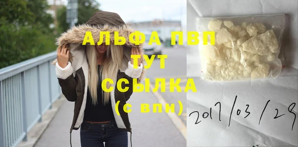 прущие грибы Абинск