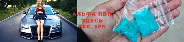 твердый Горняк