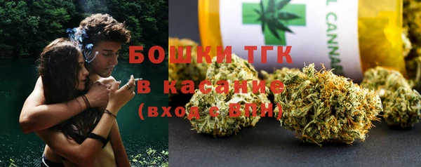 стаф Инта