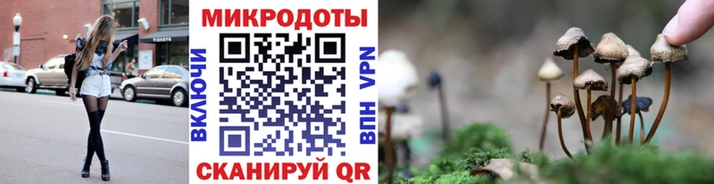 Псилоцибиновые грибы ЛСД Пойковский